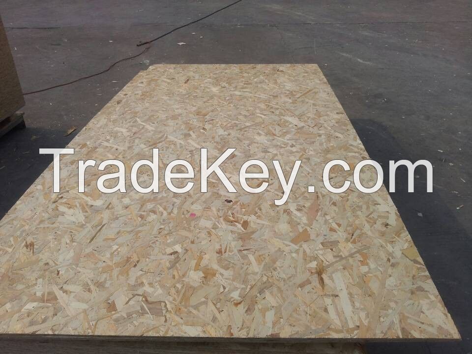 sell OSB for construction 9.11.12.15mm