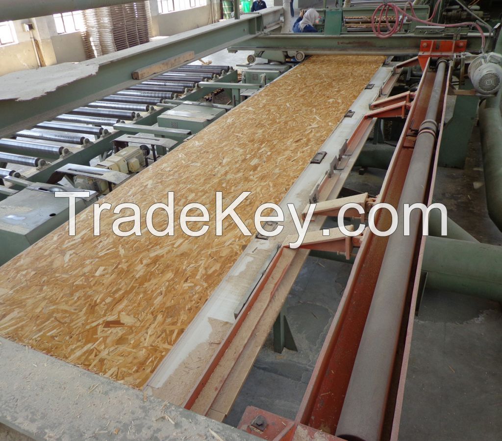 sell OSB 3 for packing-1220x2440x9mm 12mm 13mm