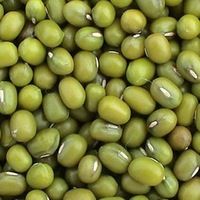 MUNG BEANS