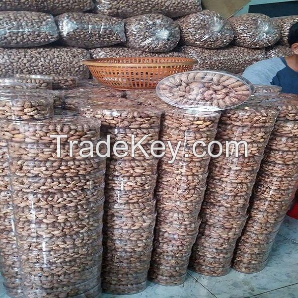 NEW CROP IN VIETNAM SALTED ROASTED CASHEW NUTS