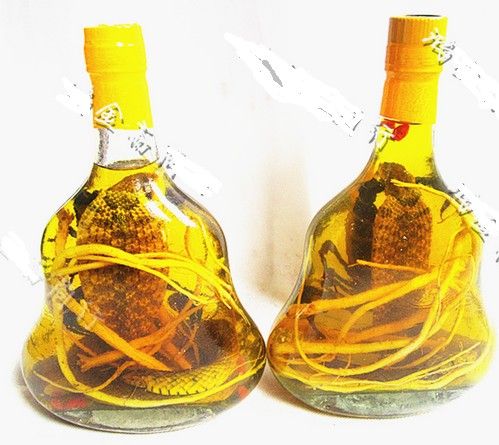 snake scorpions liquor wine