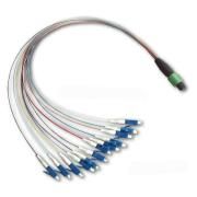 MPO Patch Cord