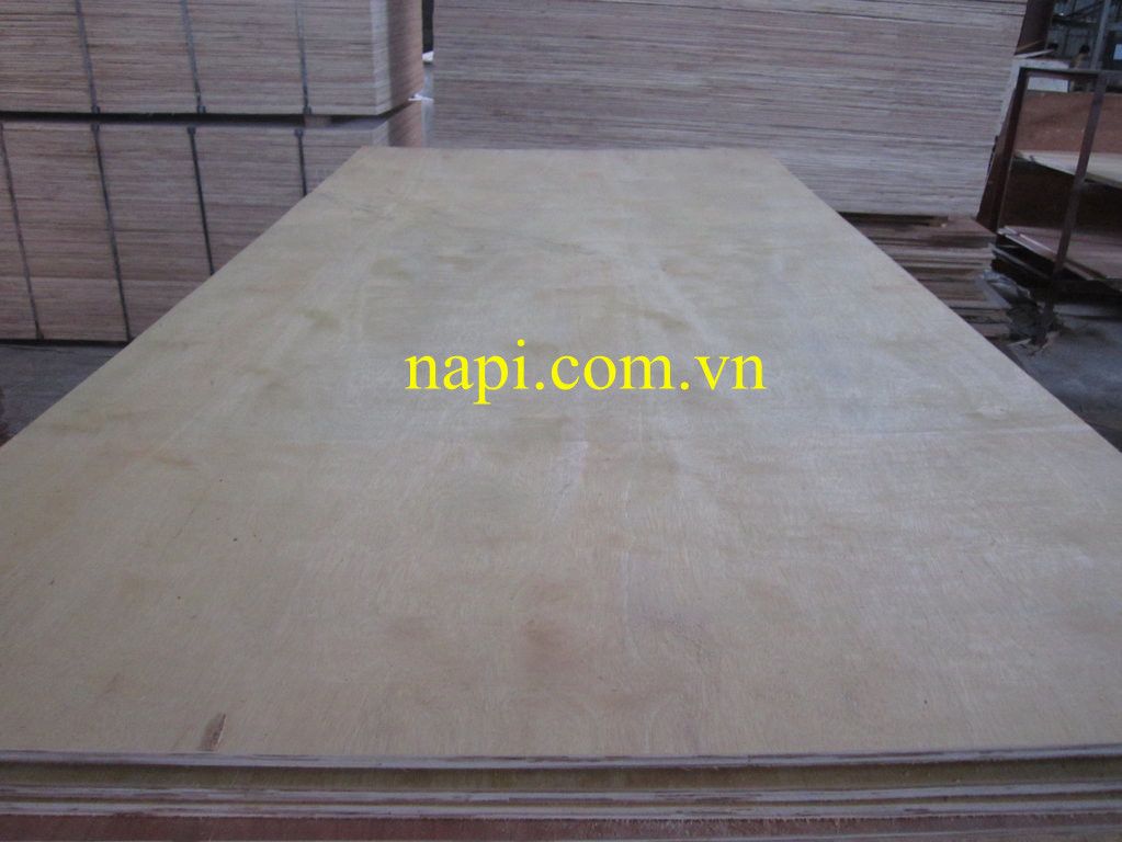 Vietnam Packing Plywood for Japan Market
