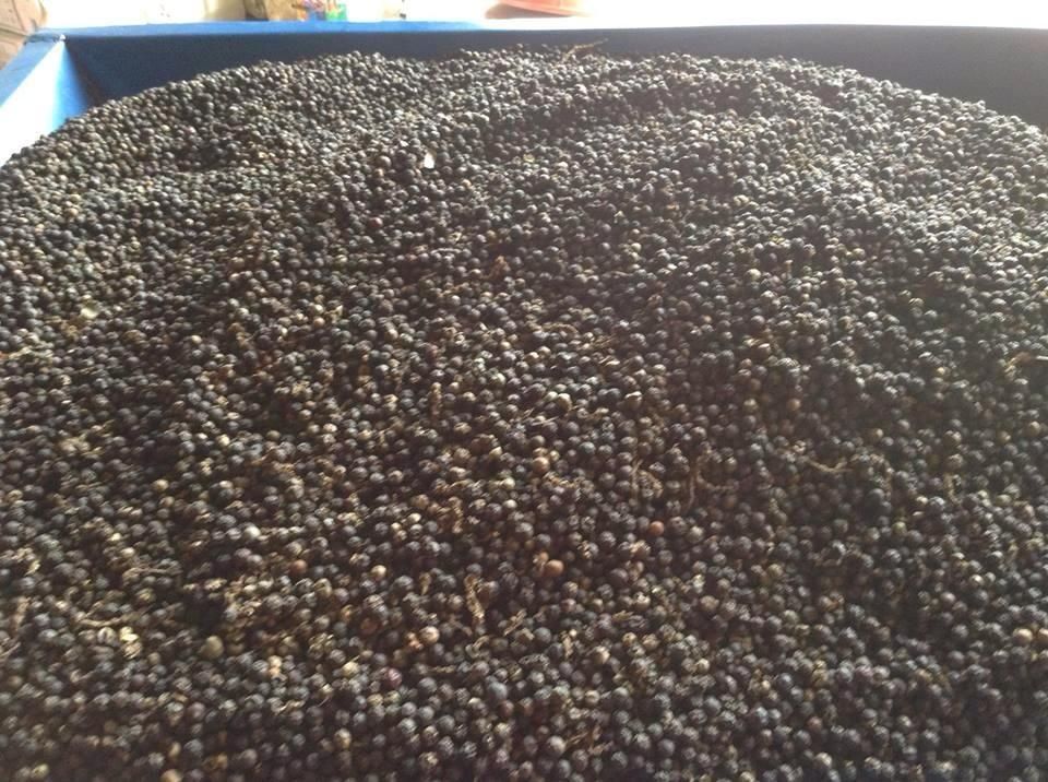 Cambodian black pepper(whole)