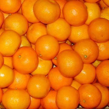 Fresh oranges