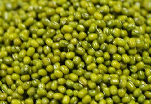 mung bean