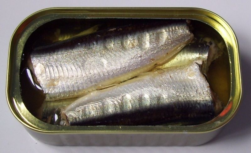 canned sardine