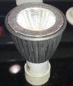 LED Spot Light COB