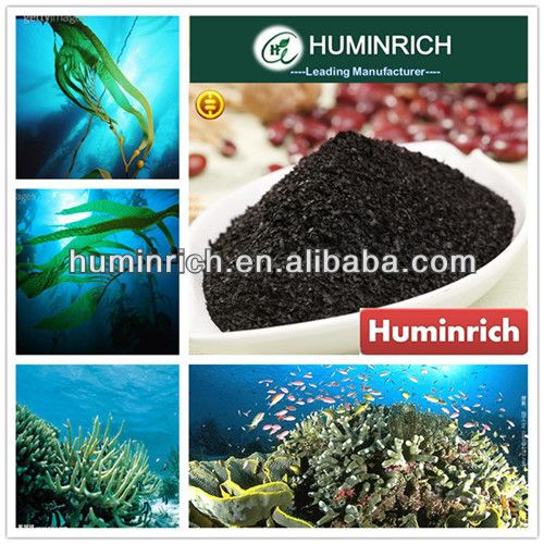 Huminrich Shenyang 100% Water Soluble Seaweed Extract Blue Green Algae Powder Fertilizer