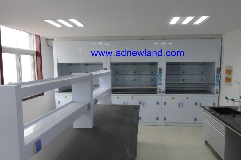 PP Fume Hood, lab furniture