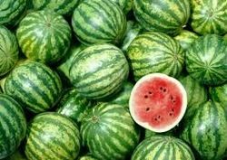 Top Grade Fresh Watermelon