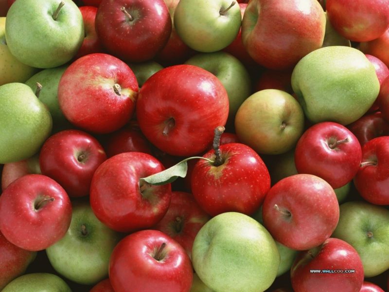 SOUTH AFRICA FRESH APPLES