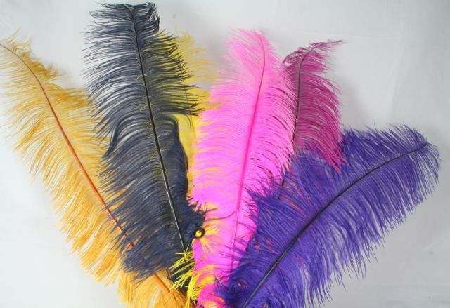 Ostrich Feather different color and sizes