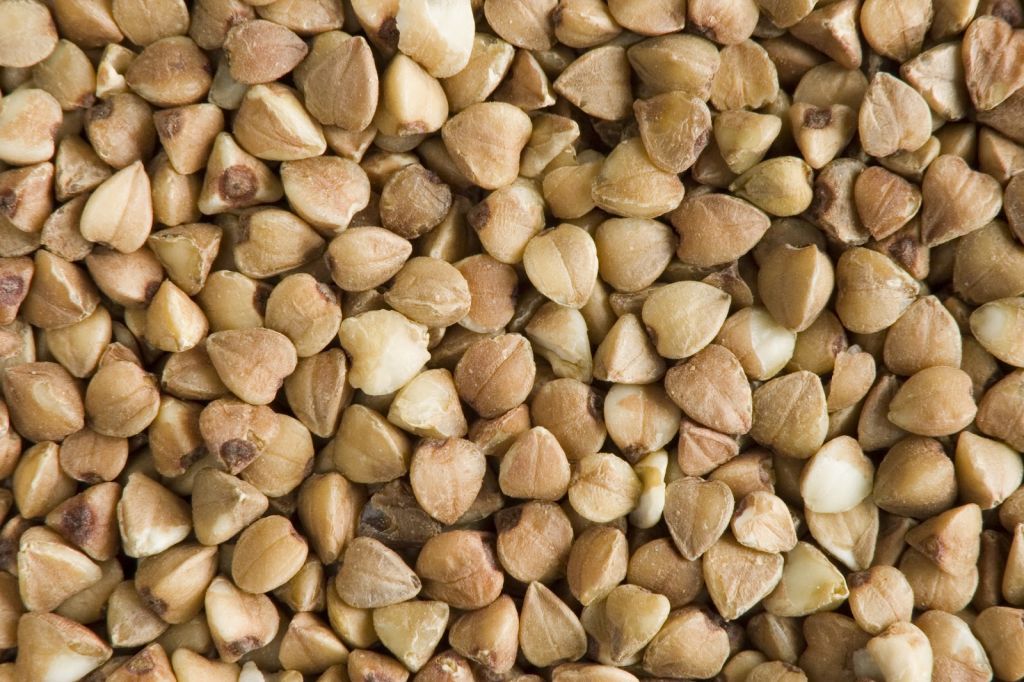 Buckwheat grain