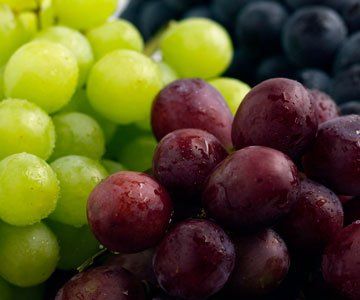 new high quality fresh grape