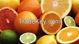 Fresh Premium quality Citrus Fruit.