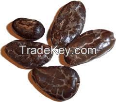 Cocoa Beans