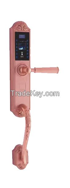 Wireless fingerprint door lock with mobile APP