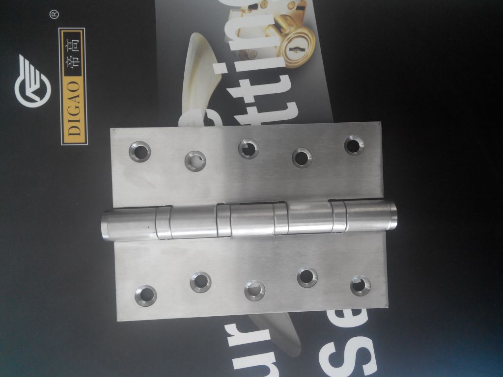 Stainless Steel Hinge