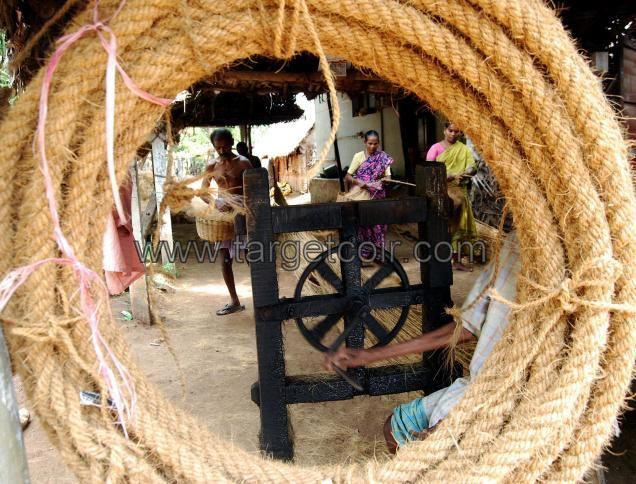 machine twisted coir fibre