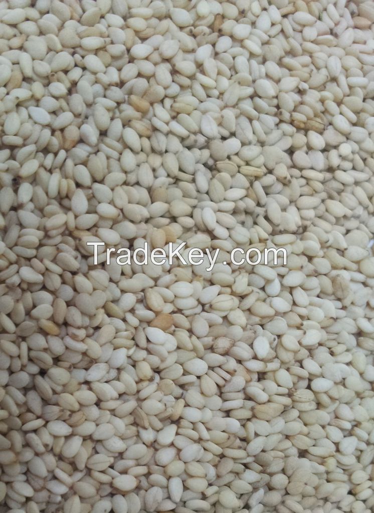 Sell Sesame Seeds (ethiopian Origin)