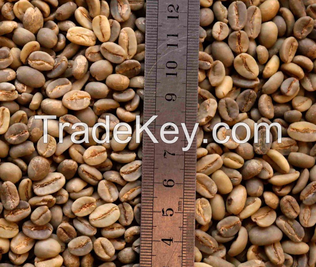 Sell Ethiopian Green Coffee Beans Harrar - Grade5 Unwashed