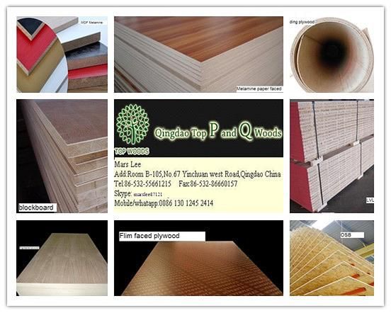 Various plywood/furniture plywood/packing plywood