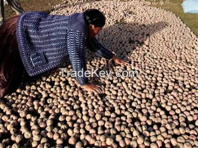 Potatoes from Pakistan