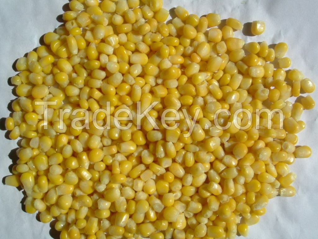 iqf  sweet corn kernel frozen sweet corn