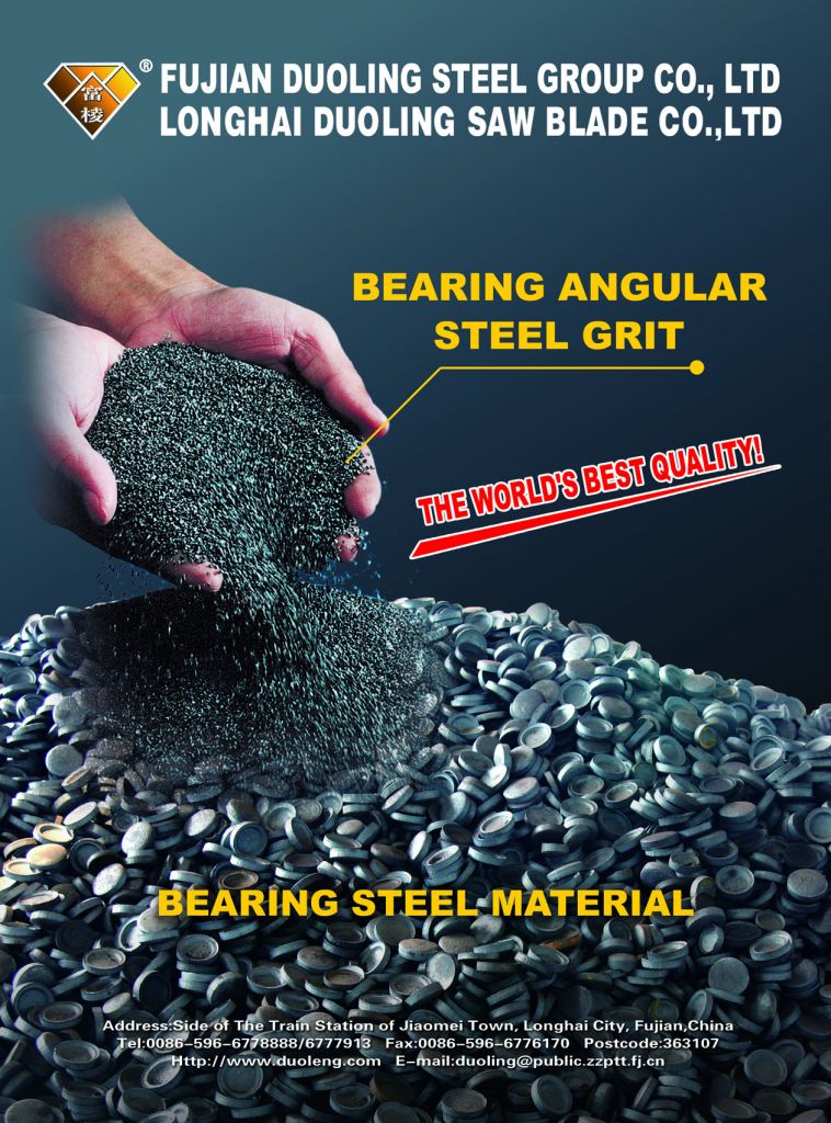 Duoleng Bearing angular steel grit g25