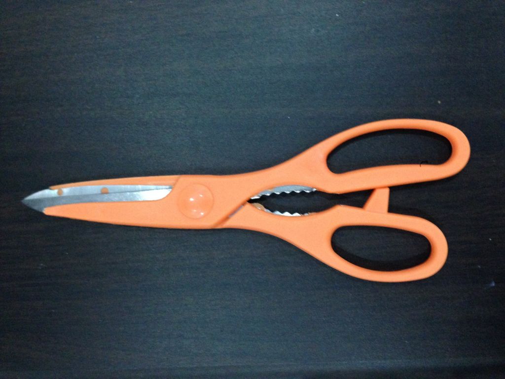 kitchen scissors