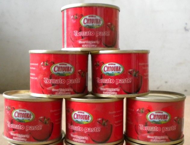 exporter of canned  tomato paste