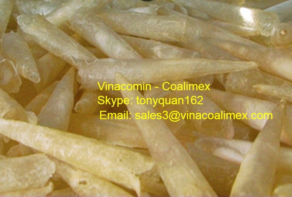 Dry Fish Maw