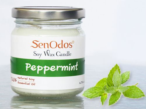 Peppermint Soy Candle  190g /45g