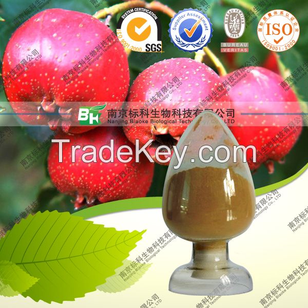 Natural Hawthorne Berry--Hawthorn Fruit P.E.