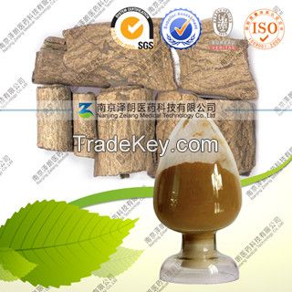 High quality Natural Eucommia ulmoides Extract--Eucommia Ulmoides P.E