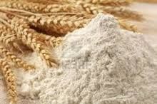 Quality Wheat Flour
