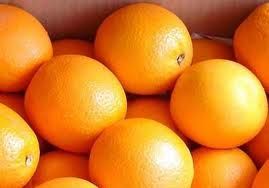 Fresh Navel Oranges