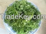 Seaweed, 