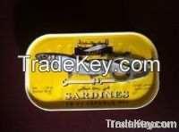 Canned Sardines Fish