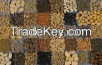 Sell Offer Flax Seeds, Cumin Seeds, Cotton Seeds 50% Discount