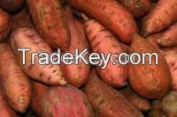 CHEAP FRESH SWEET POTATO/FROZEN SWEET POTATO