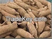 Best Quality Fresh Cassava Root Planter For Export