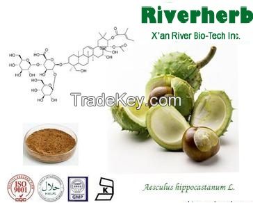 Natural Horse Chestnut extract with 20%Aescin