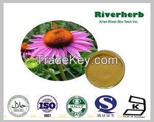 Natural Echinacea extract with 4% chicoric acid