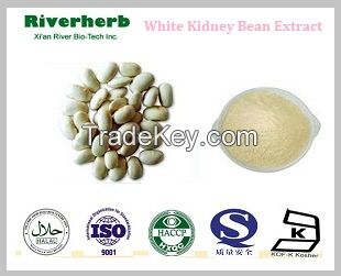 Natural White Kidney bean extract with 5%Phaseolin