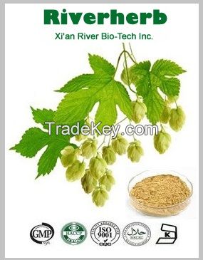Natural Hops Flower extract