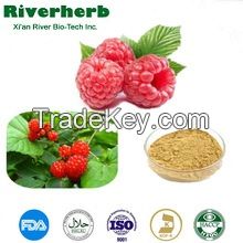 Natural Raspberry extract with best quality and price
