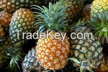 Fresh fruit Pineapple