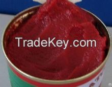 pure canned tomato paste